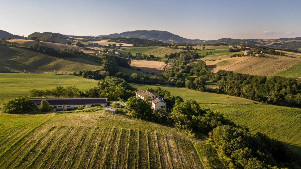Agriturismo Podere Coldifico Sassoferrato Kültér fotó